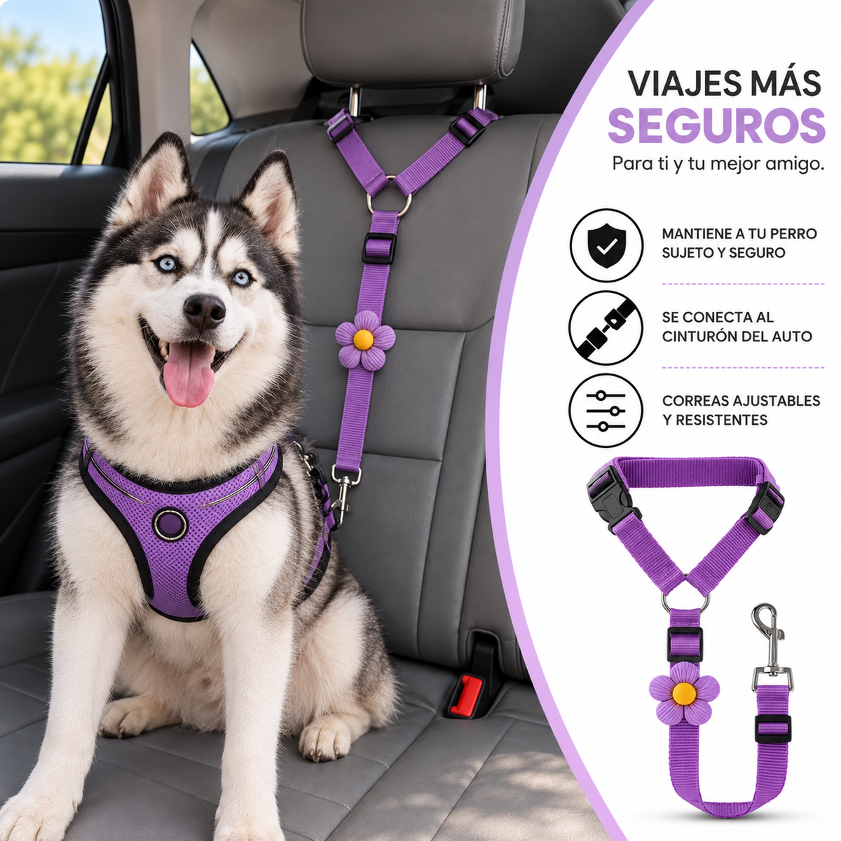 arnes de seguridad perro