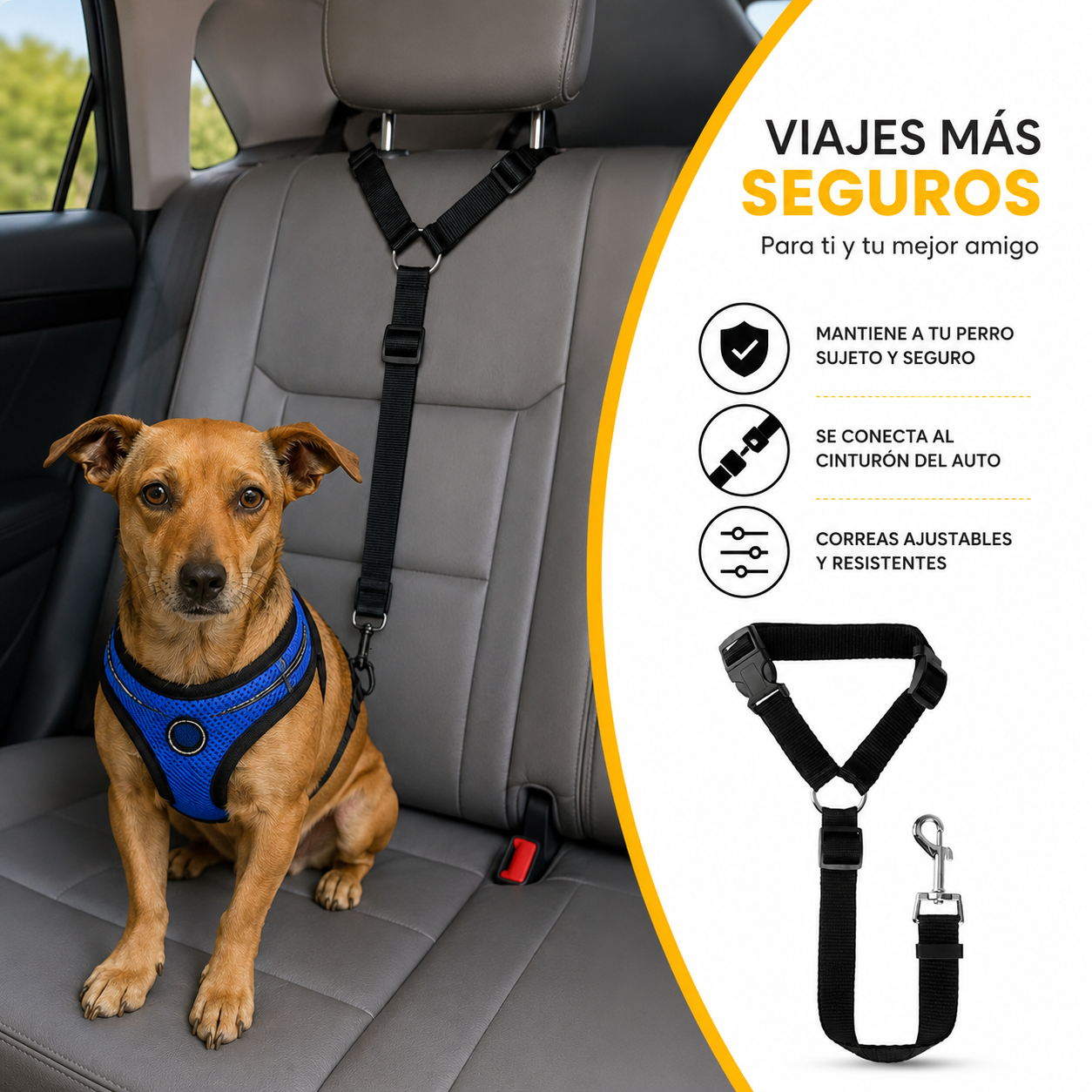 arnes de seguridad perro