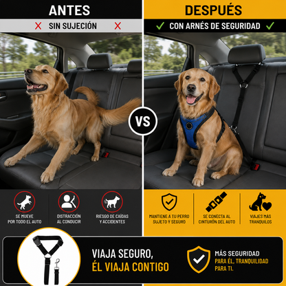 arnes de seguridad perro